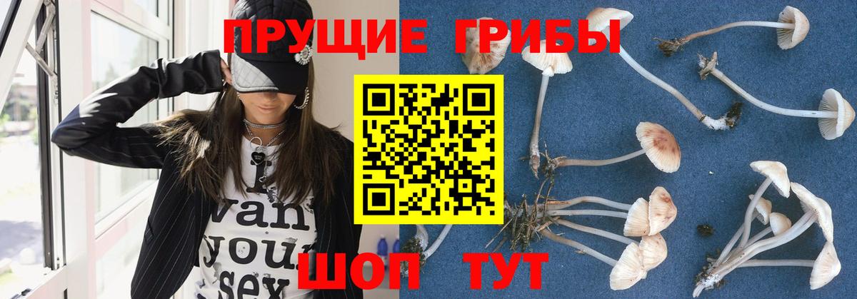 Валуйки  Галлюциногенные грибы GOLDEN TEACHER  Псилоцибиновые грибы Magic Shrooms  Вход с VPN 